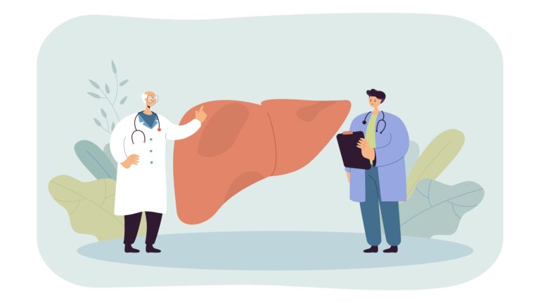 illustration of two doctors with a large liver, discussing treatments like hijama for fatty liver
